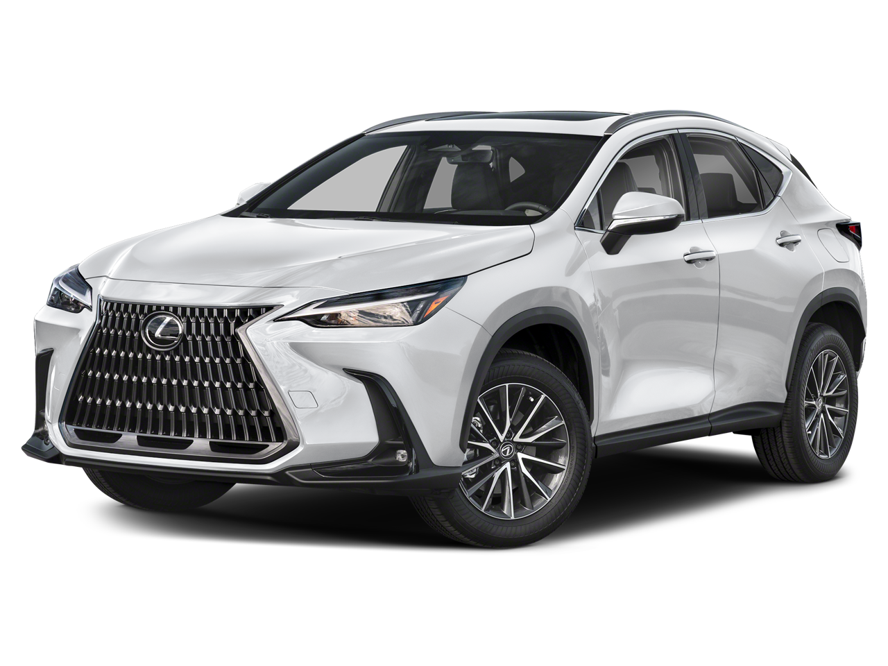 2025 Lexus NX 250 Base