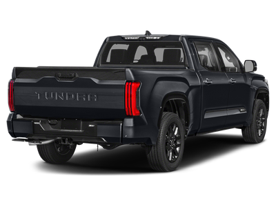 2023 Toyota TUNDRA 4X4 Platinum