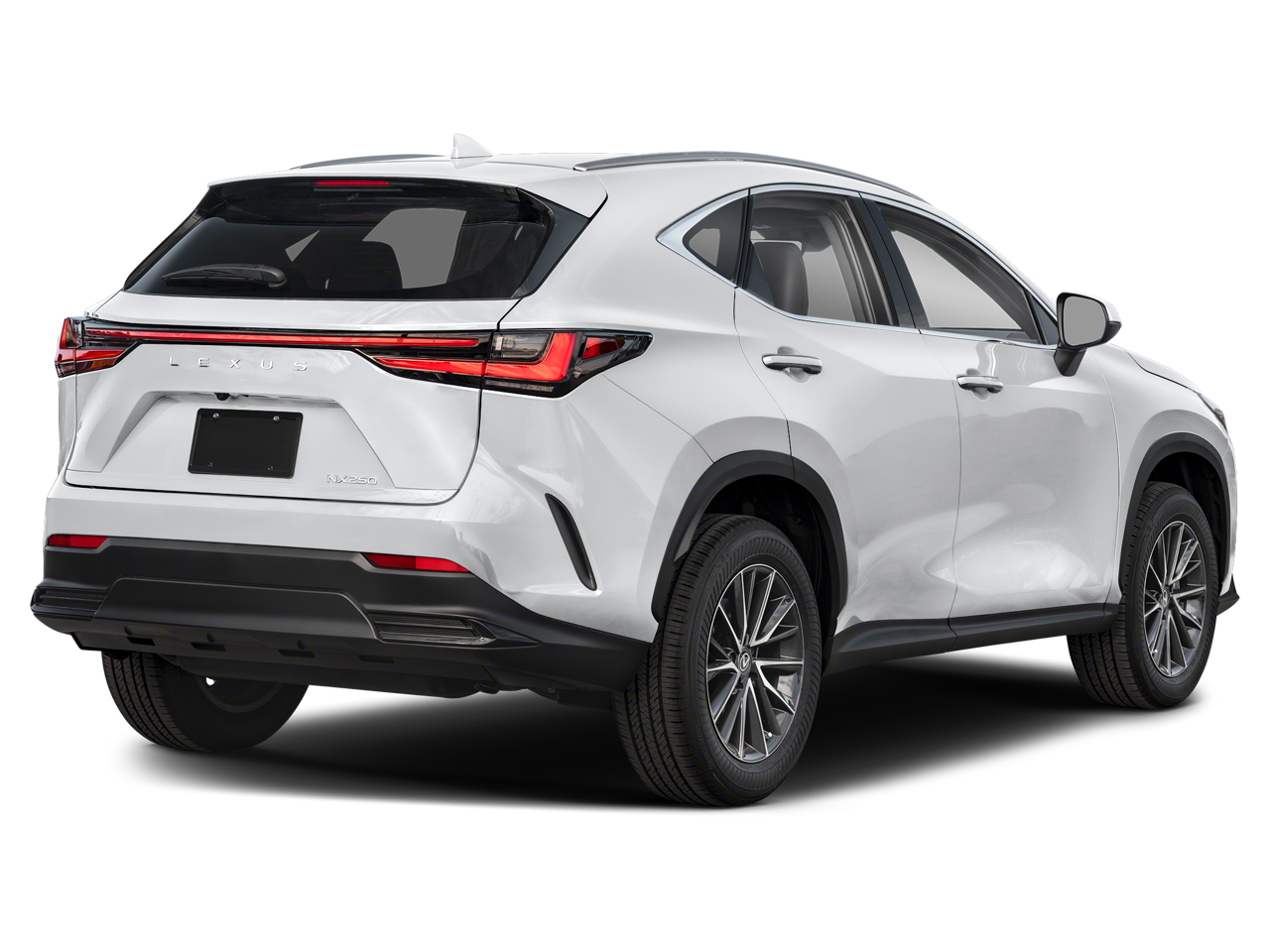 2025 Lexus NX 250 Base