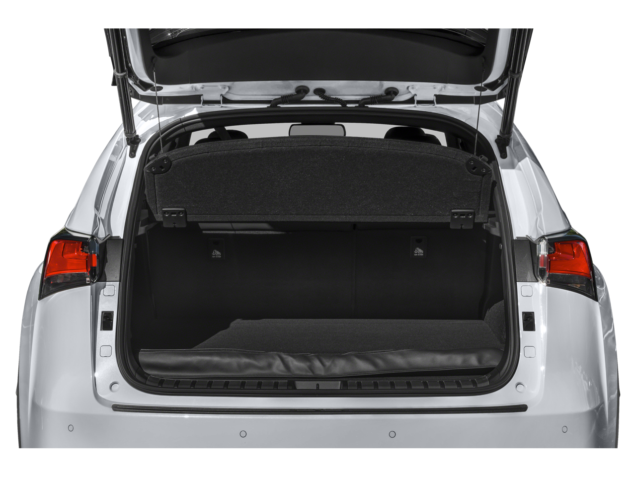 2021 Lexus NX NX 300 F SPORT