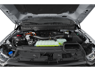 2024 Ford F-150 Platinum®
