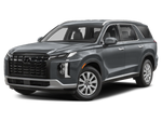 2024 Hyundai Palisade SEL 7P