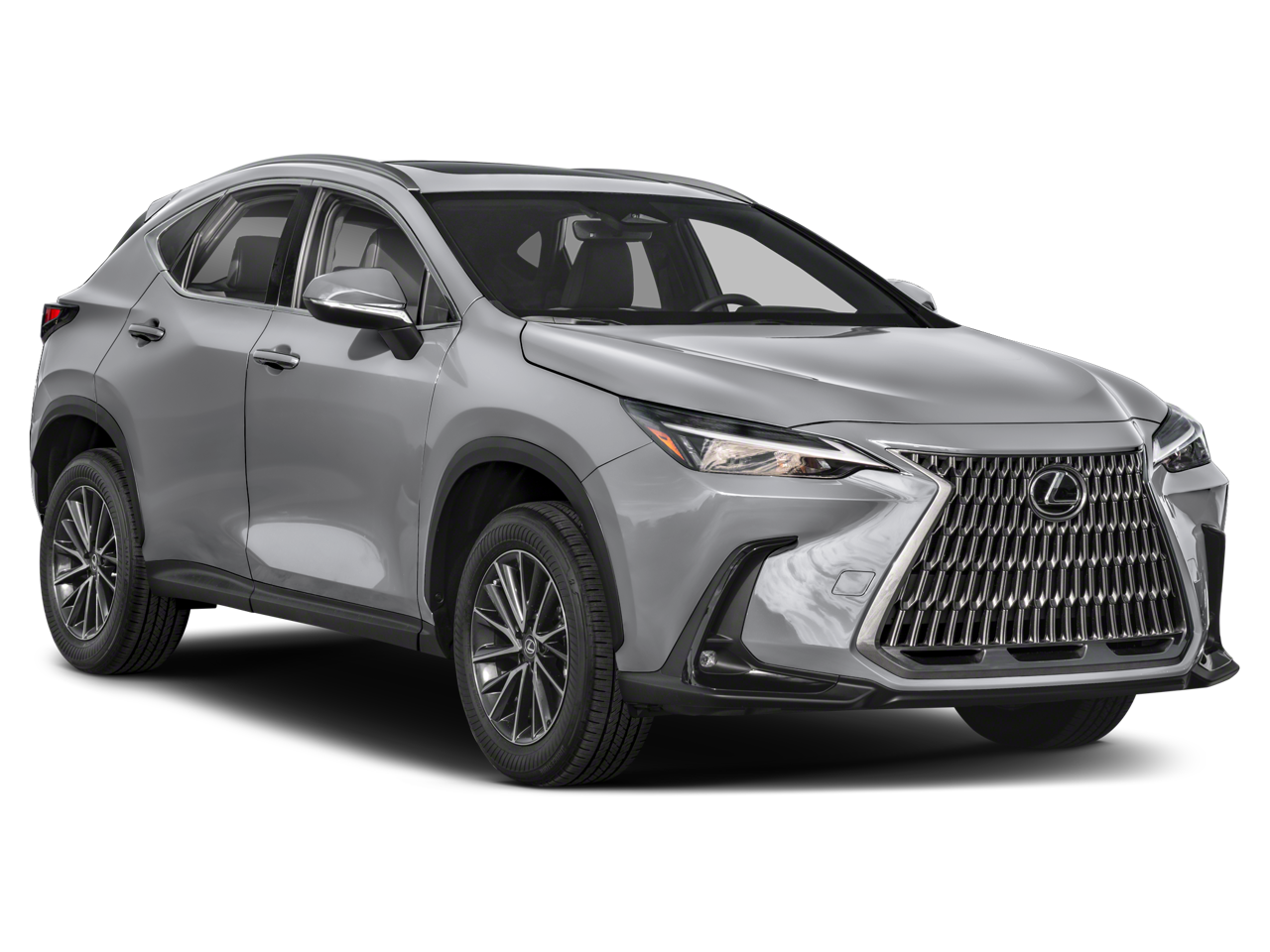 2025 Lexus NX 250 NX 250