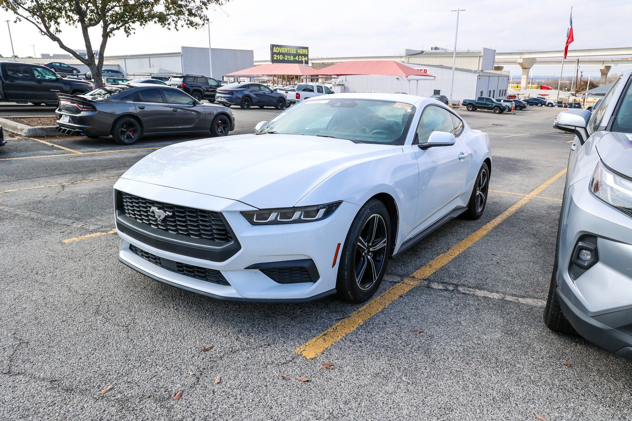2024 Ford Mustang EcoBoost Premium