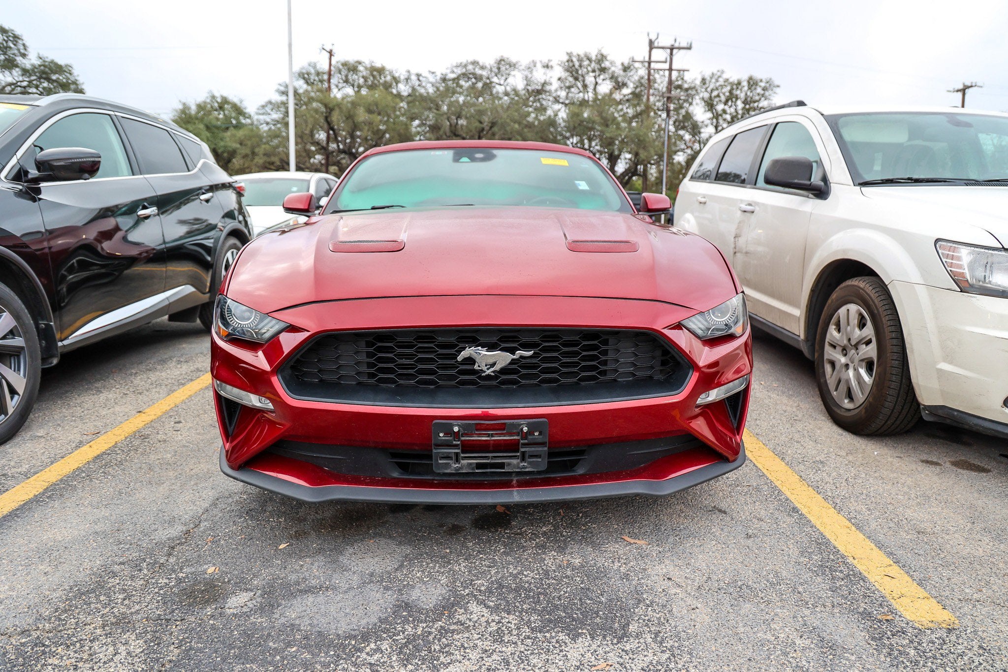 2019 Ford Mustang EcoBoost Premium