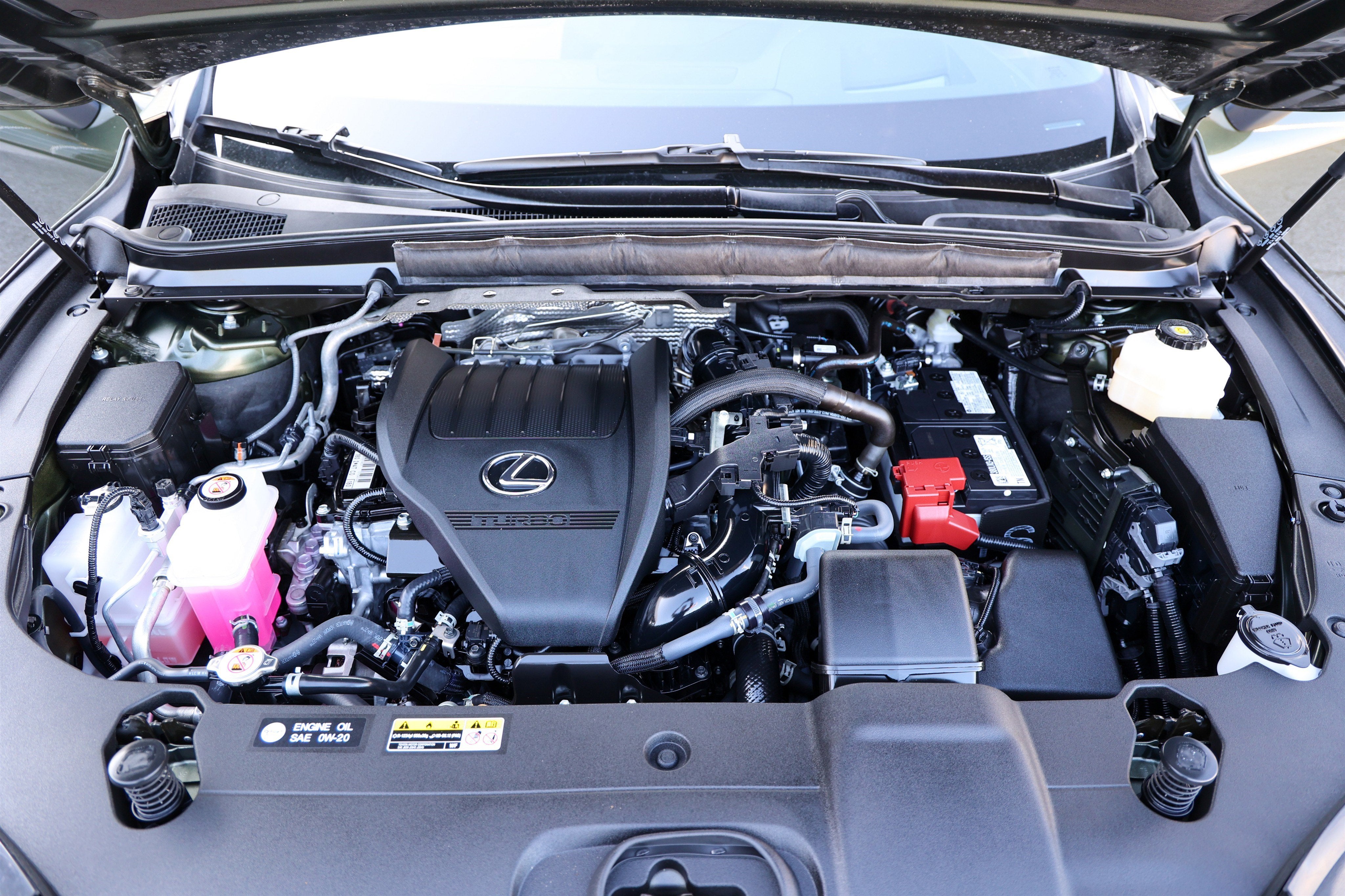 2025 Lexus RX 350 RX 350 Premium Plus