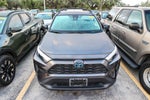 2024 Toyota RAV4 Hybrid Hybrid LE
