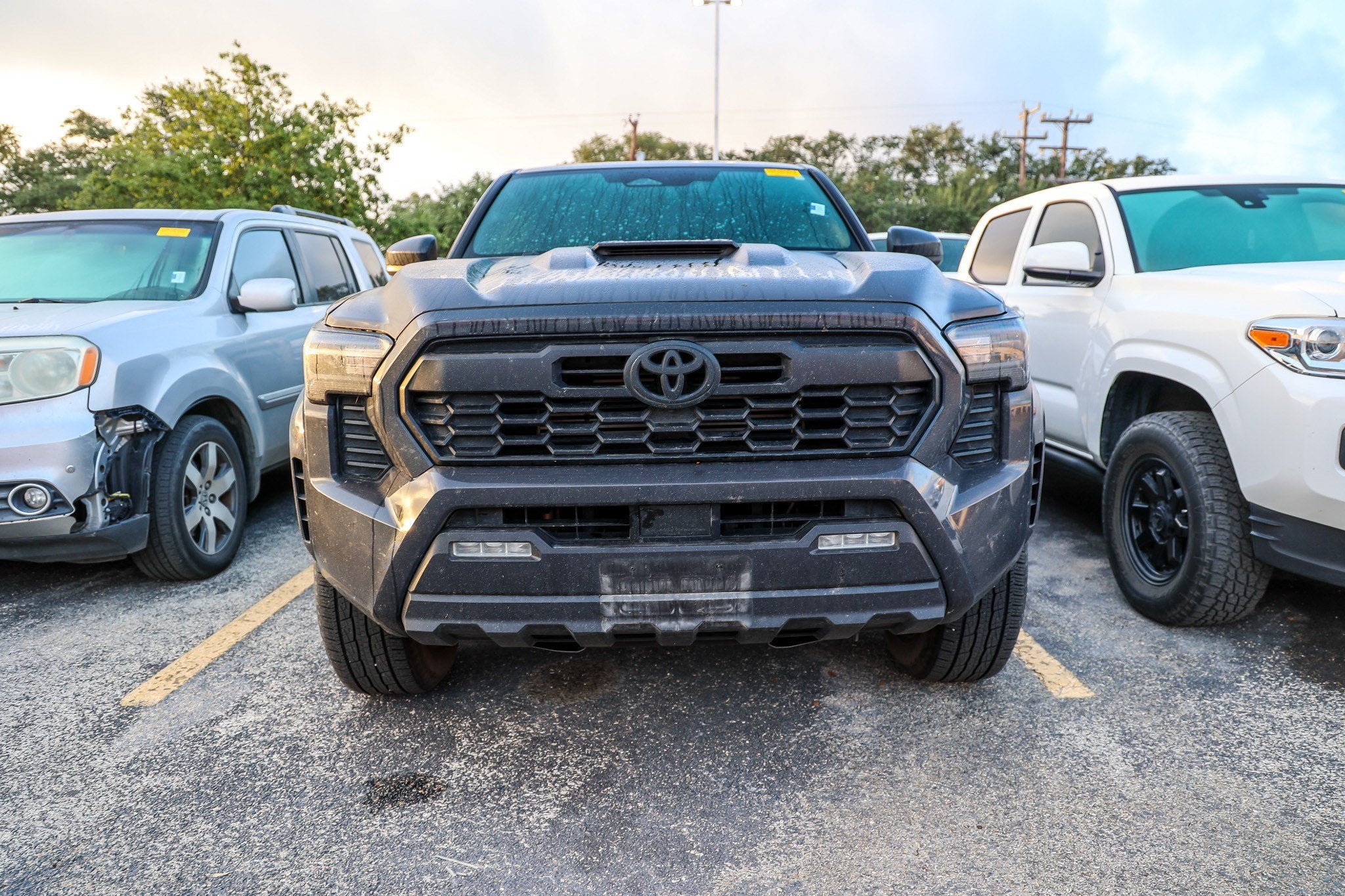 2024 Toyota Tacoma TRD Sport