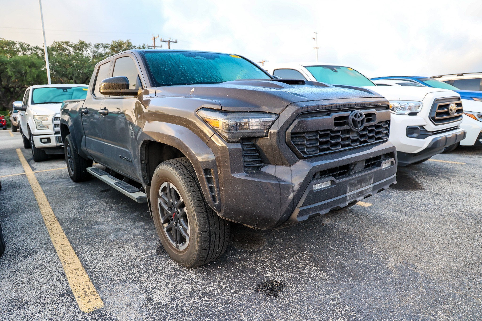 2024 Toyota Tacoma TRD Sport