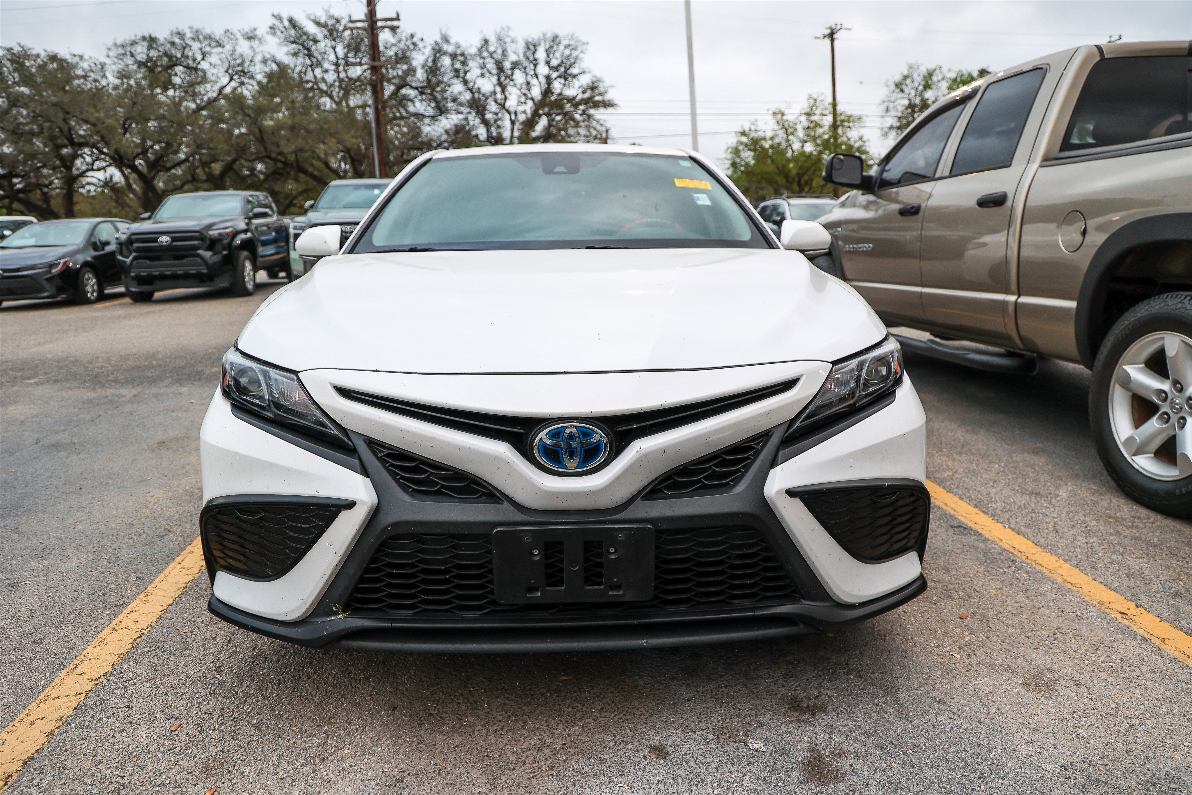 2022 Toyota CAMRY Hybrid Nightshade