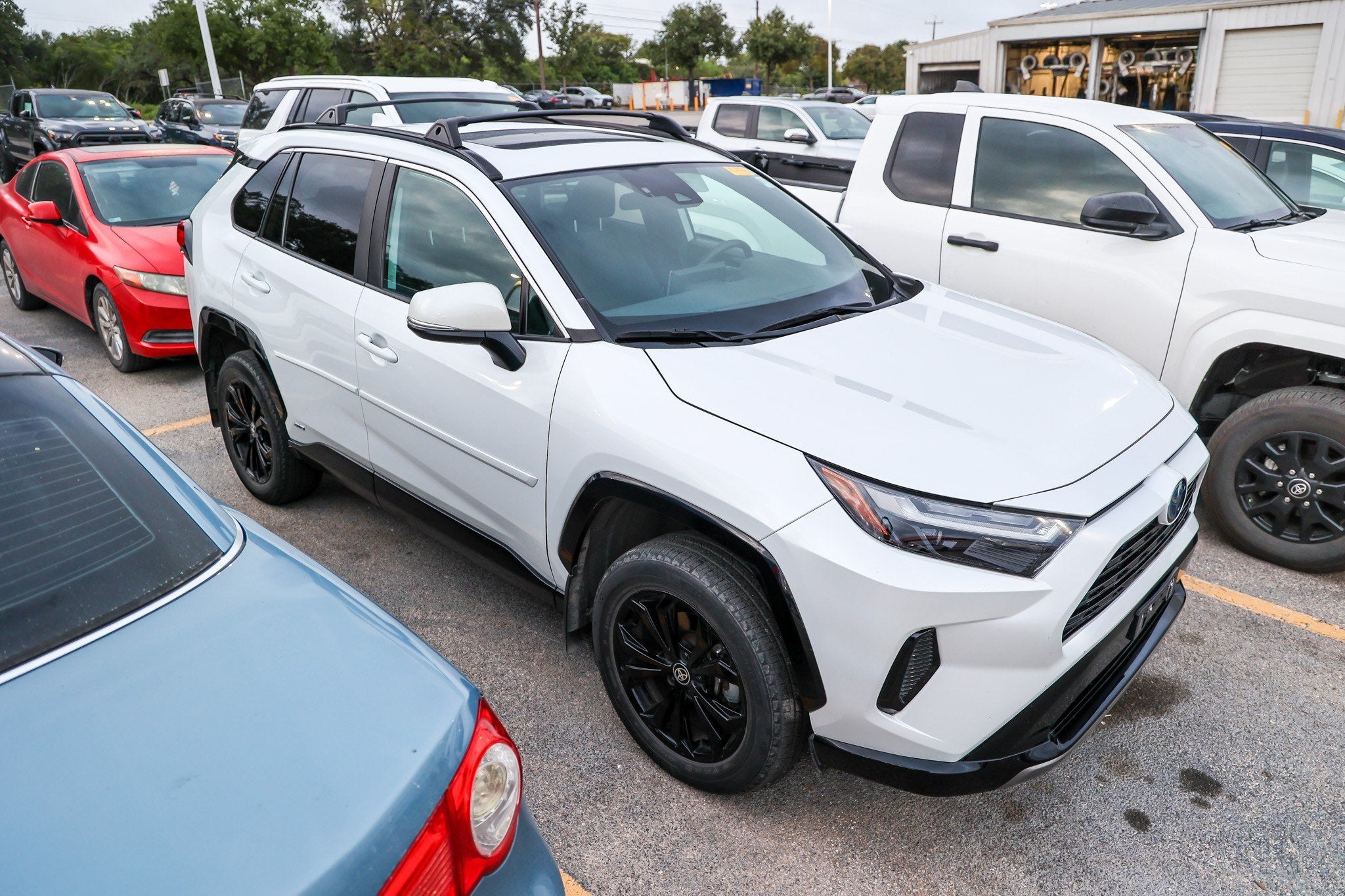 2024 Toyota RAV4 Hybrid SE