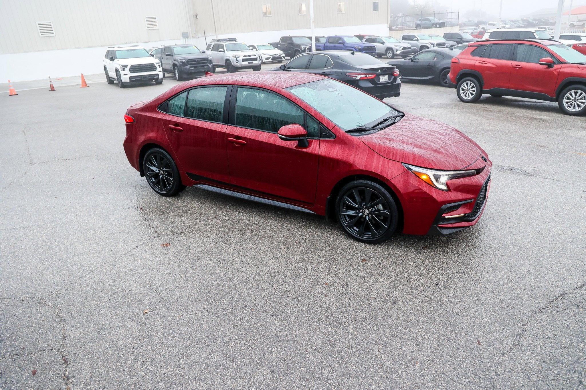 2024 Toyota COROLLA Nightshade Edition