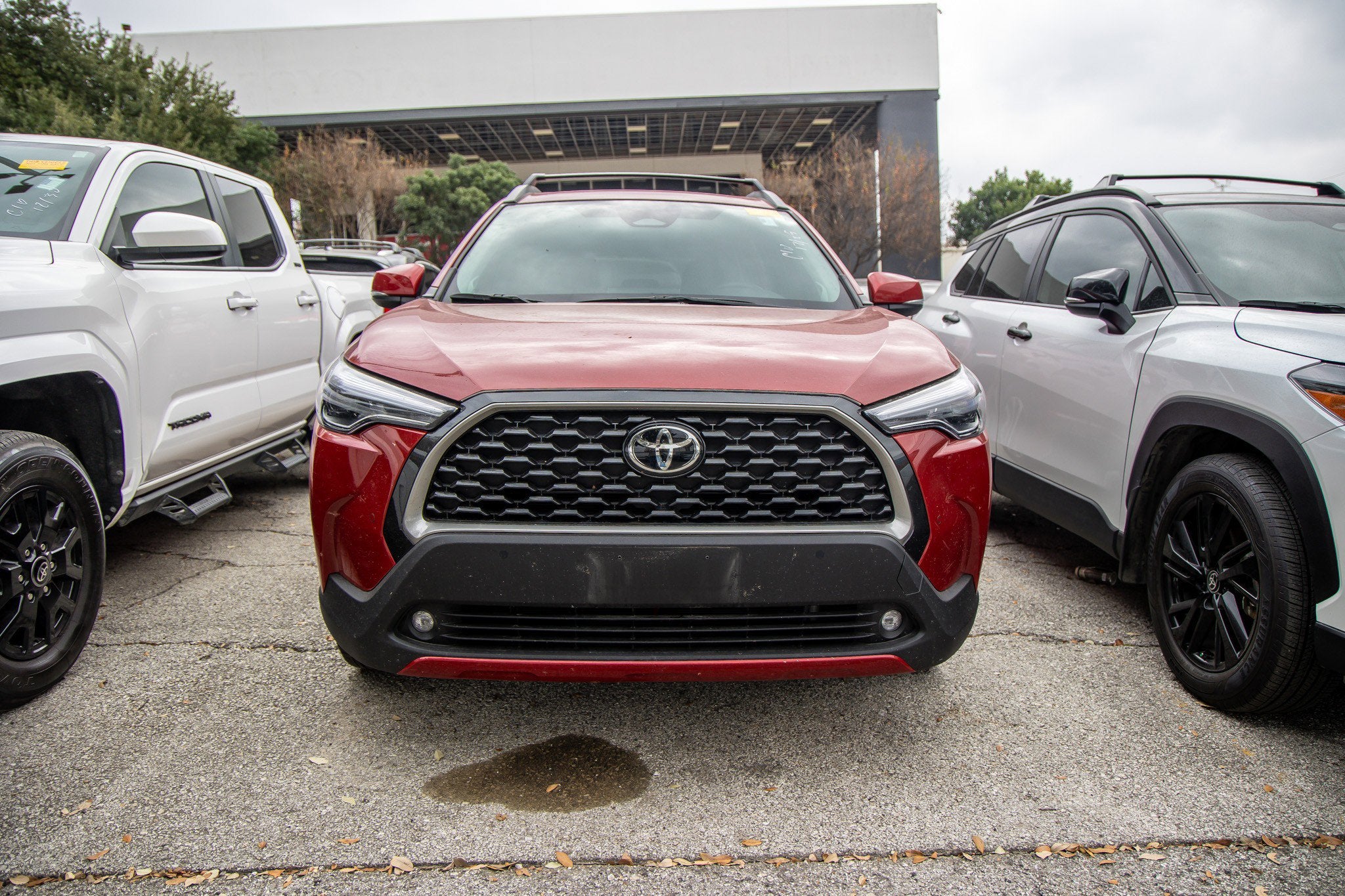 2024 Toyota Corolla Cross XLE