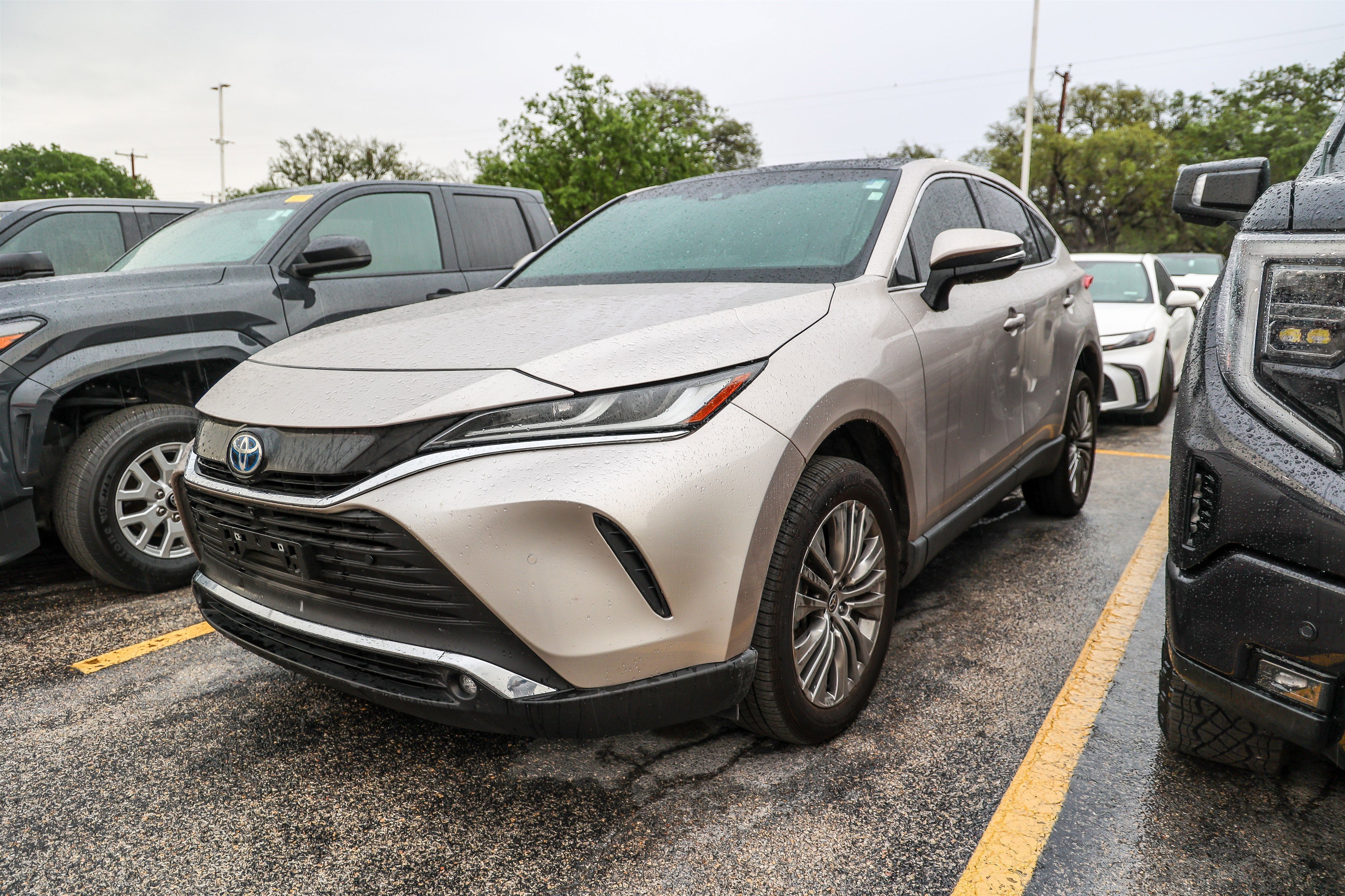 2024 Toyota Venza Limited