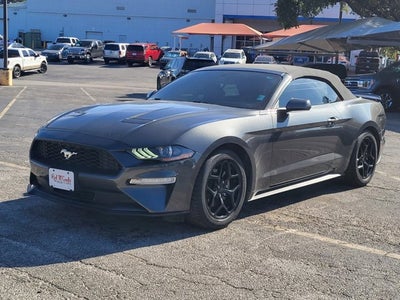 2019 Ford Mustang EcoBoost