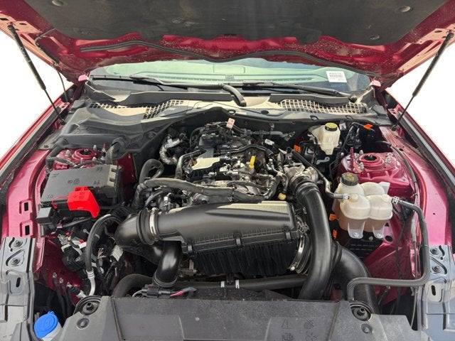2025 Ford Mustang EcoBoost®