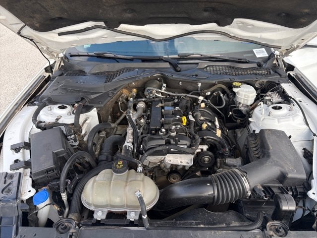 2023 Ford Mustang EcoBoost