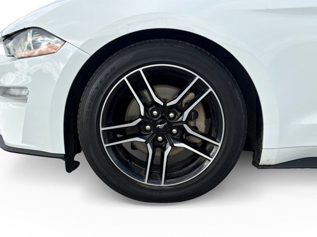 2023 Ford Mustang EcoBoost