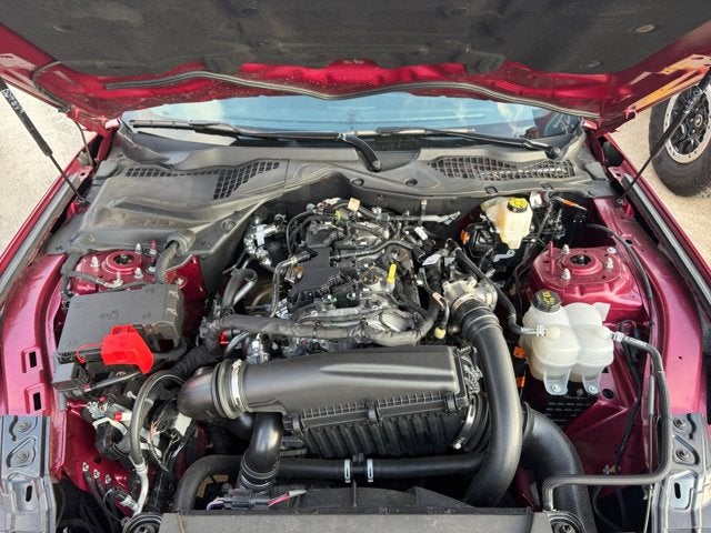 2025 Ford Mustang EcoBoost