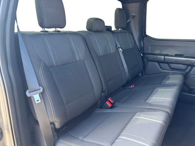 2024 Ford F-150 STX®