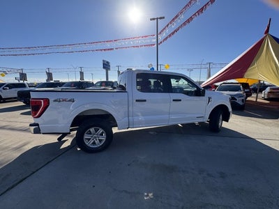 2023 Ford F-150 XLT PowerBoost