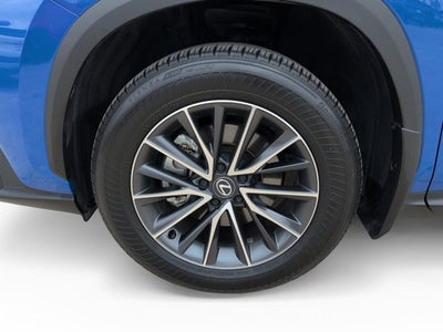 2025 Lexus NX NX 350 Premium
